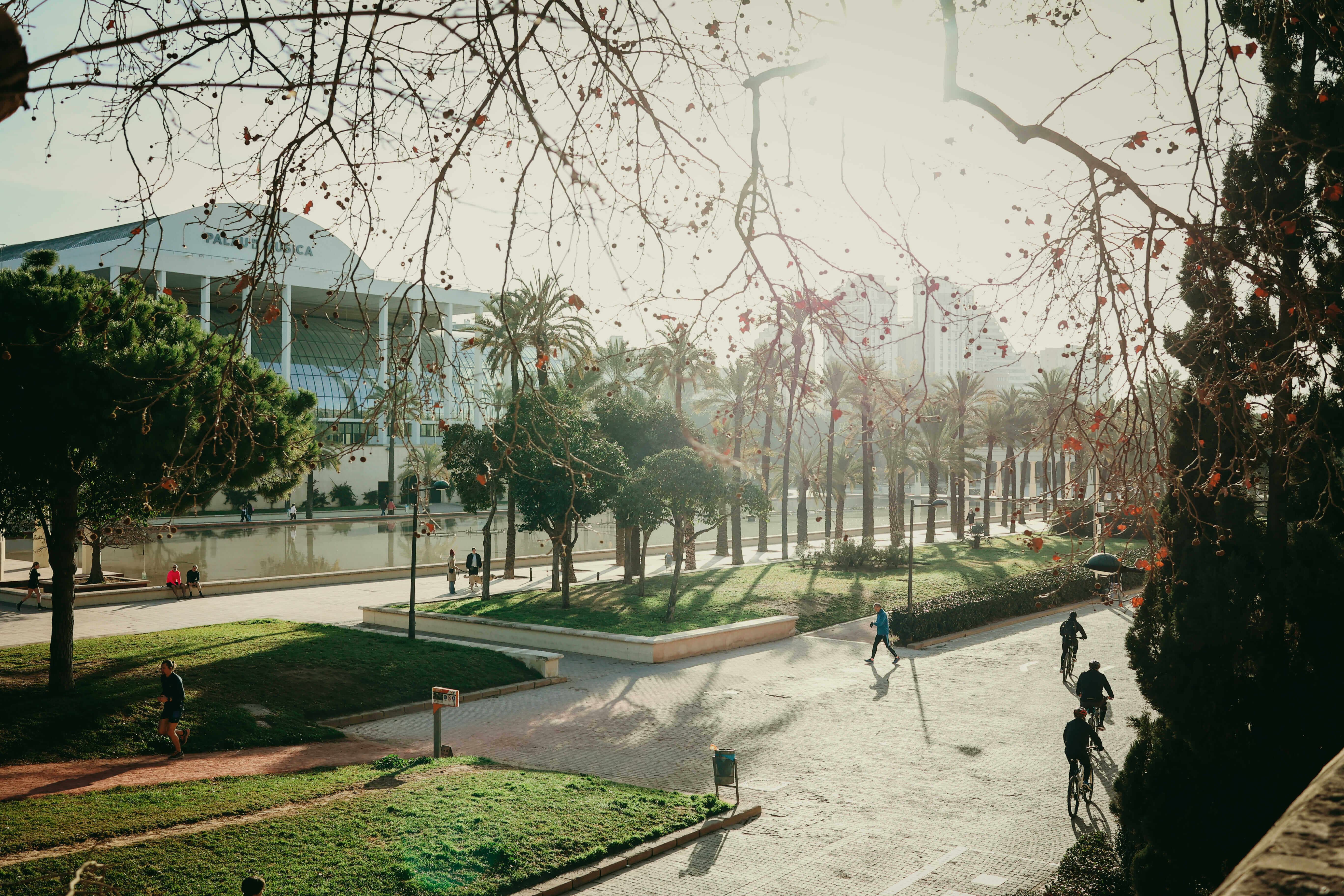 Father celebrating across the finish line